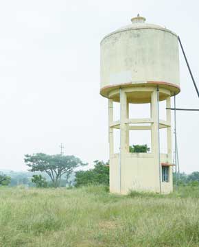 Pet Friendly Environment